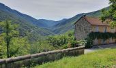 Trail Walking Pied-de-Borne - au dessus de borne et les Aydons - Photo 4