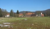 Tour Zu Fuß Gerstungen - Altenberger See Rundwanderweg 1 - Photo 4