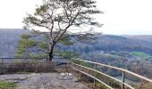 Excursión Senderismo Dinant - La promenade de freyr. - Photo 8