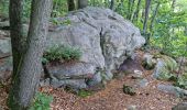 Tour Wandern Chamarande - Lardy - Le Lièvre d'Or - Photo 6