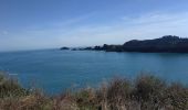 Trail Walking Cancale - 2024-03-20 boucle pointe de grouin Cancale  - Photo 3