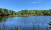 Randonnée Marche Écromagny - Plateau des milles étangs  - Photo 6