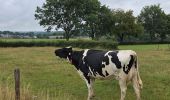 Tocht Stappen Gulpen-Wittem - Epen - Photo 4