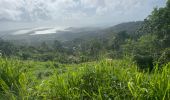 Tour Wandern Le Vauclin - Tour de la Montagne du Vauclin - Photo 1