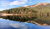 Tocht Stappen Le Revest-les-Eaux - La ripelle - barrage - Ragas - Olivières - Puit - Fourmis - Grottes de sable - Chateau Tourris - Mont combes - Touravelle - Chateau Ripelle                  - Photo 14