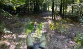 Trail Horseback riding Habay - Marbehan 9 octobre 2022e - Photo 7