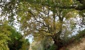 Tocht Stappen Pont-à-Celles - Marche PAC - Photo 9