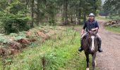 Trail Horseback riding Habay - Habay forêt d’Anlier - Photo 8