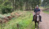 Tour Reiten Habich - Habay forêt d’Anlier - Photo 8