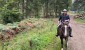 Excursión Paseo ecuestre Habay - Habay forêt d’Anlier - Photo 8
