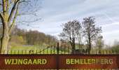 Randonnée Marche Eijsden-Margraten - Bemelen - Photo 8