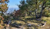 Trail Walking Mazaugues - le Mourre d'Agnis au départ du Caucadis - Photo 7