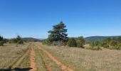 Tocht Stappen Millau - potensac in live - Photo 2