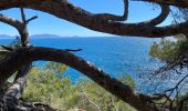 Trail Walking Le Rove - N’isolons crêtes  - Photo 4