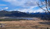 Tour Wandern Les Angles - Lac de Balcère - Photo 1