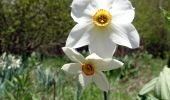 Tour Wandern Puygros - Puygros-2021-05-13 - Photo 1