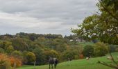 Tocht Stappen Verviers - 20221017 - Lambermont 6.2 Km - Photo 18