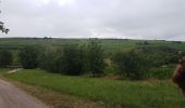 Tocht Stappen Rosheim - Le vignoble de Rosheim - Photo 14