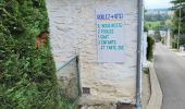 Trail Walking Andenne - Andenne 290823 - Photo 9