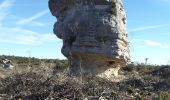 Excursión Senderismo Signes - Arches de Sioux blanc et l'éléphant de pierre  - Photo 3