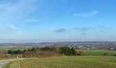 Trail Walking Gerpinnes - La belle haie  - Photo 6