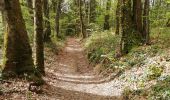 Trail Walking Espartignac - Fred B C Espartignac  - Photo 1