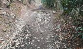 Trail Walking Pollionnay - Pollionay- Saint Bel - Lentilly  - Photo 19