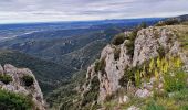 Tour Wandern Lacoste - Massif des Cèdres via Lacoste - Photo 18