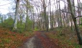 Tour Wandern Vieux-Moulin - en forêt de Compiègne_26_la Grotte des Ramoneurs_Tournantes de la Queue de Saint-Etienne et sur la Côte de Roilaye - Photo 6