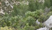 Tour Wandern Aubagne - St jean de garguier - Photo 2