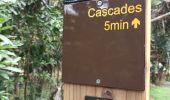 Trail Walking Sainte-Rose - La source Anse des Cascades - Photo 4