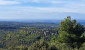 Trail Walking Venasque - Combes et forêt de Vénasque  - Photo 19