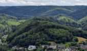Trail Walking Bouillon - au départ de l' auberge, frahan, rochehaut  - Photo 1