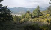 Trail Walking Rosans - le mont Fourchat - Photo 2