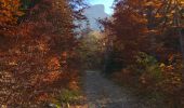 Tour Wandern Lus-la-Croix-Haute - Lac du Liziau et col du Charnier en boucle - Photo 12