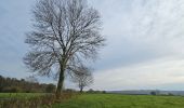 Tour Wandern Baelen - Boucle nord des Bornes sans Frontières - Photo 10