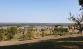 Tocht Stappen Doische - Balade à Romerée - Photo 3