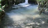 Randonnée Marche Cheignieu-la-Balme - cascade de DARD - Photo 2