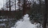 Trail Walking Tessenderlo - Averbode Bos en Heide 1 - Photo 5