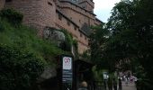 Tocht Stappen Orschwiller - 2024-06-08 Haut koenigsbourg  - Photo 1