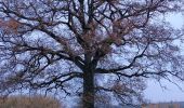 Randonnée Marche Aywaille - de Tlff à Sur le Tige -  autour du bois de Warnoumont - Photo 9