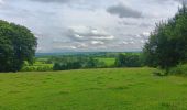 Trail Walking Theux - entre la ferme st Remacle et Hodbomont - Photo 13