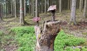 Trail Walking Manhay - La Forge a l‘Aplez - Photo 1