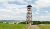 Tour Zu Fuß Trautenau - NS Babí - Nové Dvory - Photo 3