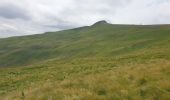 Trail Walking Albepierre-Bredons - Le Plomb du Cantal - Photo 10