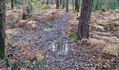 Trail Walking Vendôme - Promenade dans la forêt de Vendôme  - Photo 7