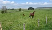 Excursión Senderismo Libramont-Chevigny - Bras-Freux - Photo 11