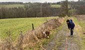 Tocht Stappen Neufchâteau - Bois d’Ospau avec Nafi - Photo 8