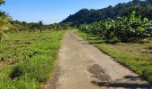 Tocht Stappen Le Marigot - Boucle Pol Nord - Papin via Hbt Lagrange - Photo 12