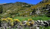 Trail Walking Unknown - Cascade de Juclar - Photo 3